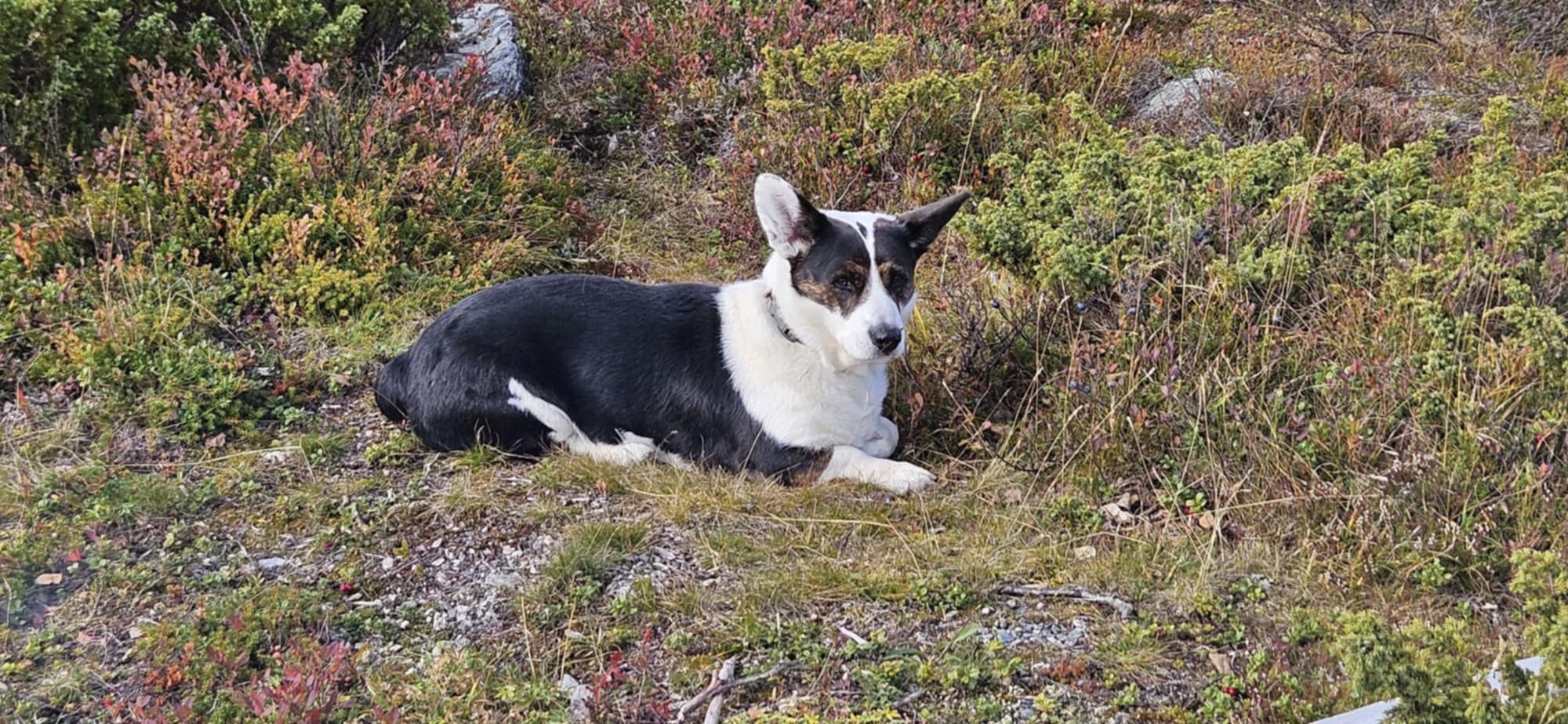 Duomatix Latest News Duomatix Latest News