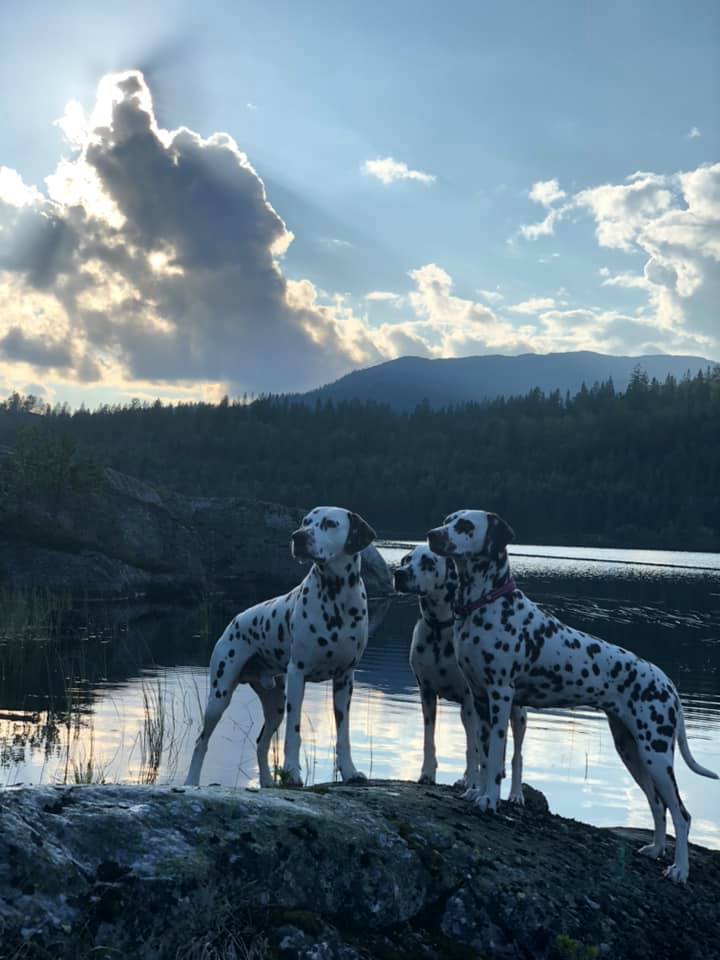 Trude Aalien Trude Aalien