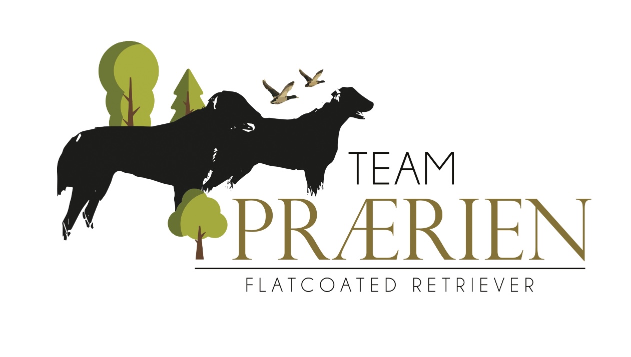 Team Prærien Team Prærien