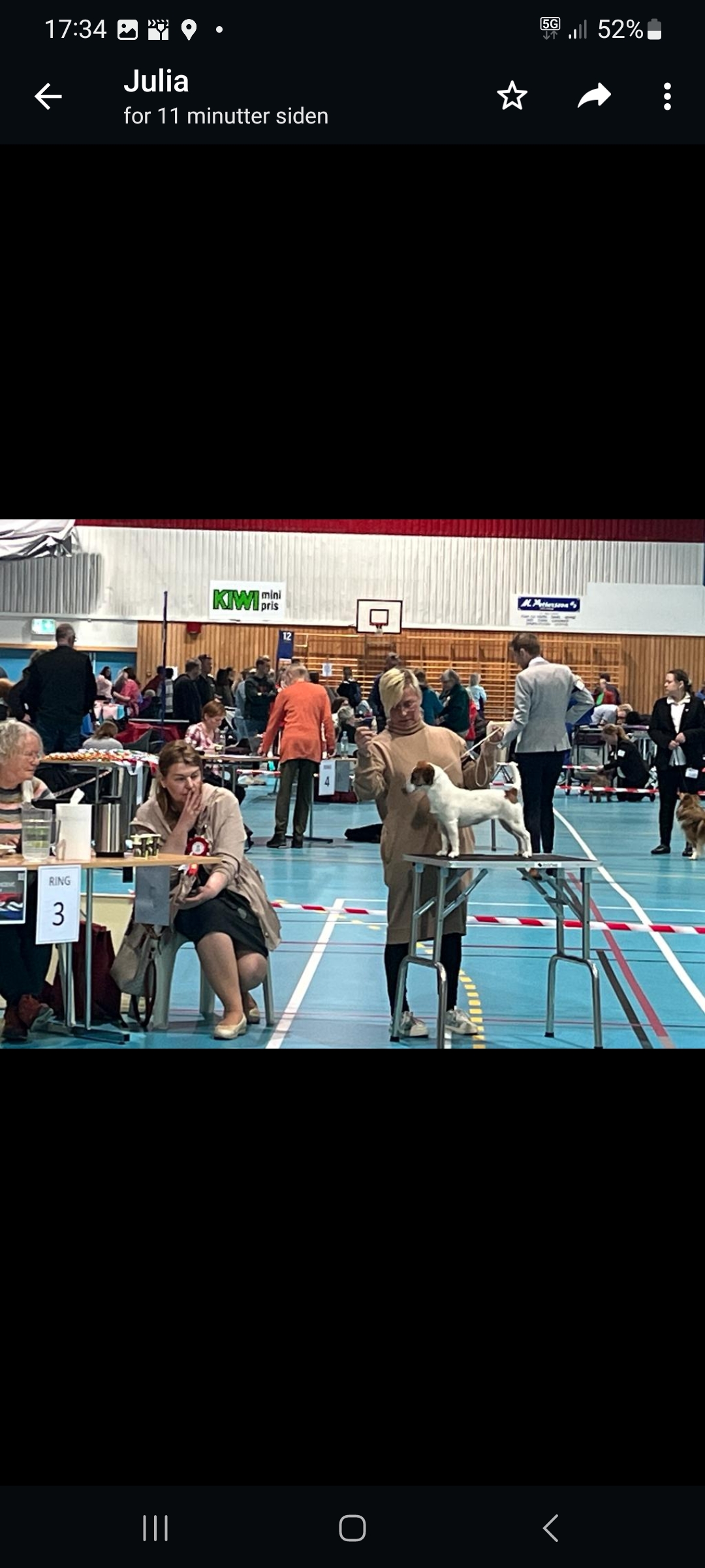 Excape Enya Song Piperita Jack Excape Enya Song Piperita Jack