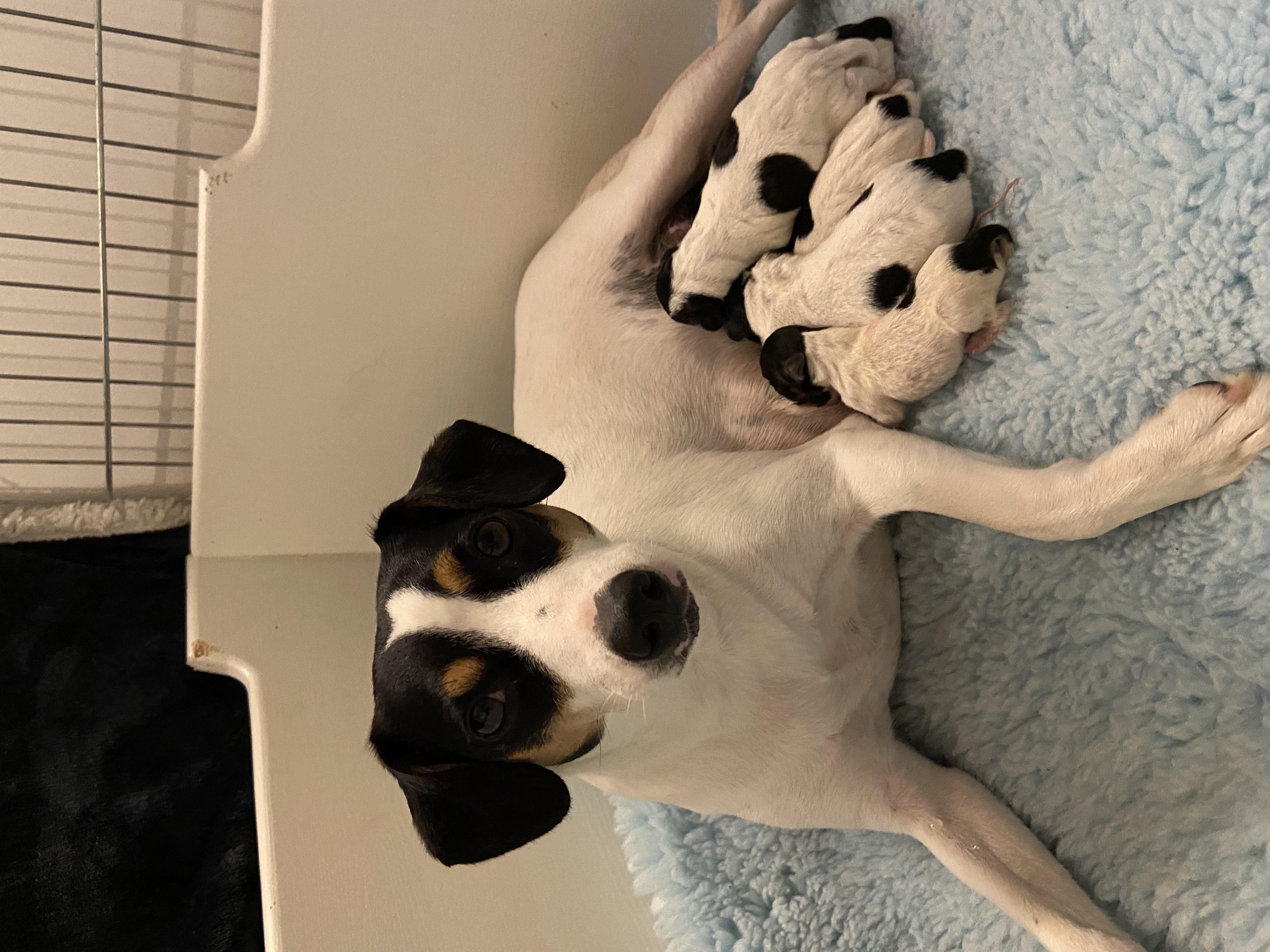 Yacatis the Sense of nostalgia Yacatis the Sense of nostalgia