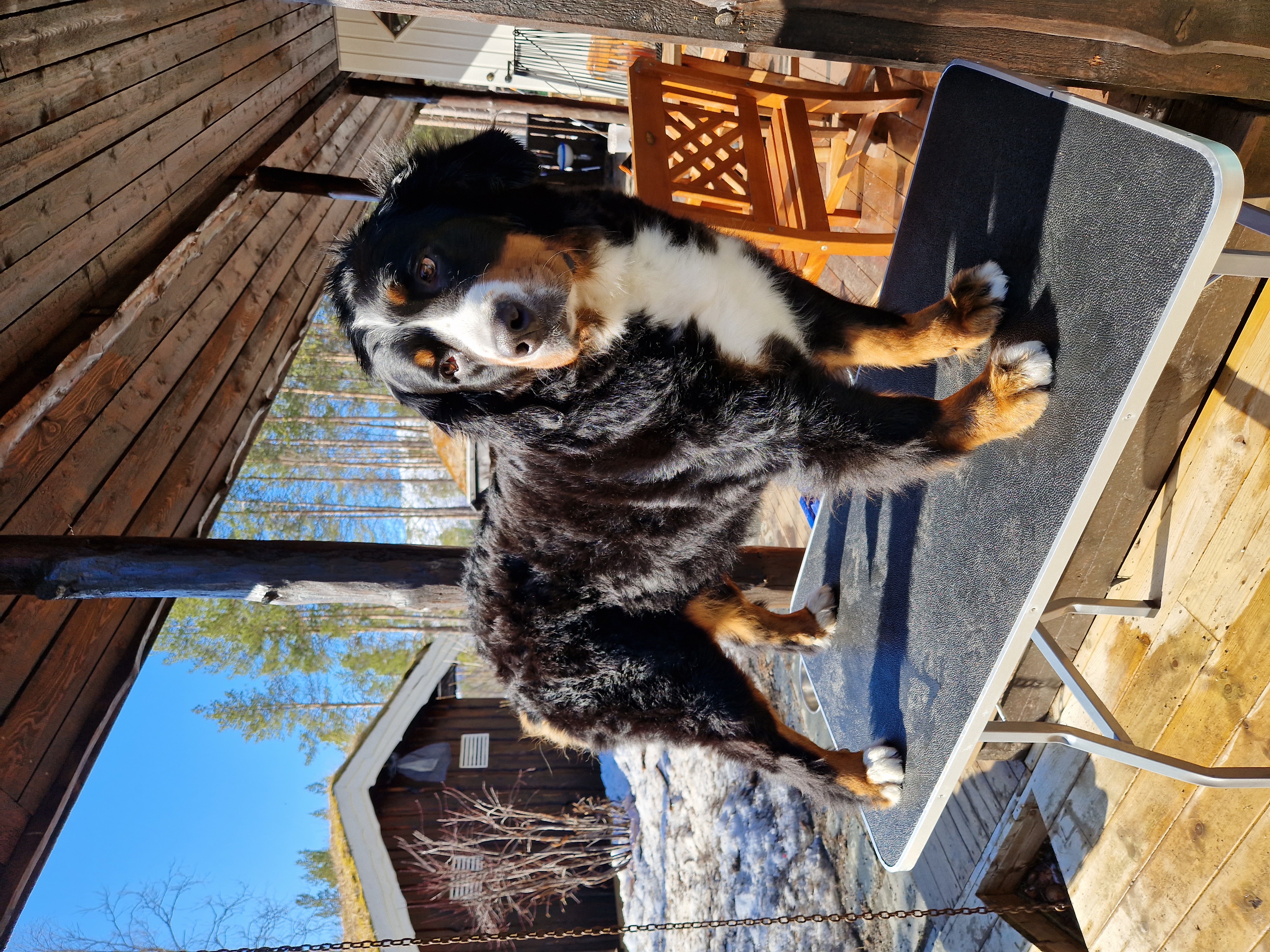 Athina av Solbergnes Athina av Solbergnes