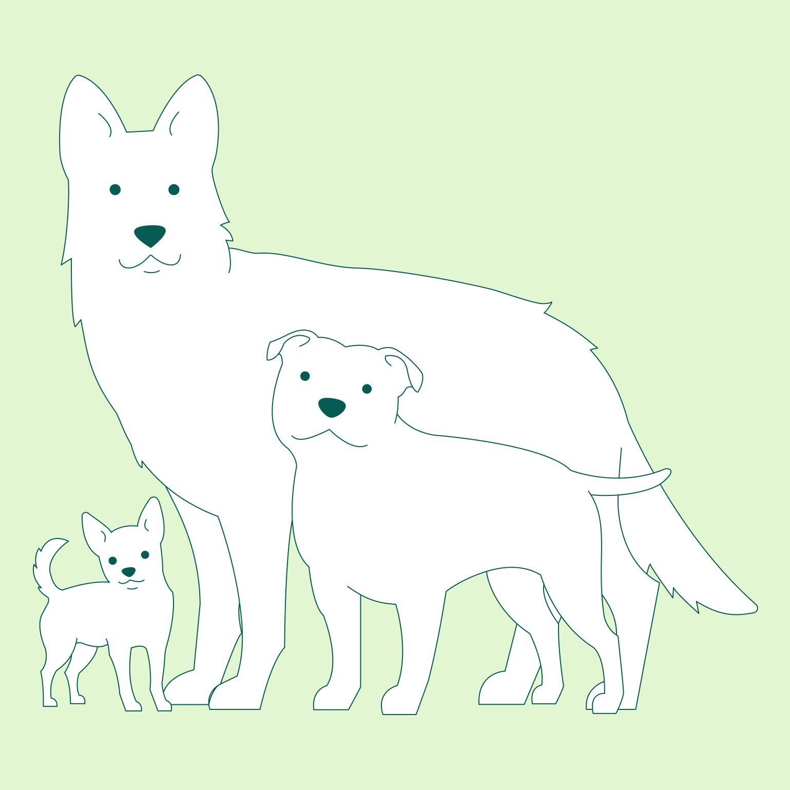 Hvilken hund passer for meg? Finn riktig rase for din livsstil