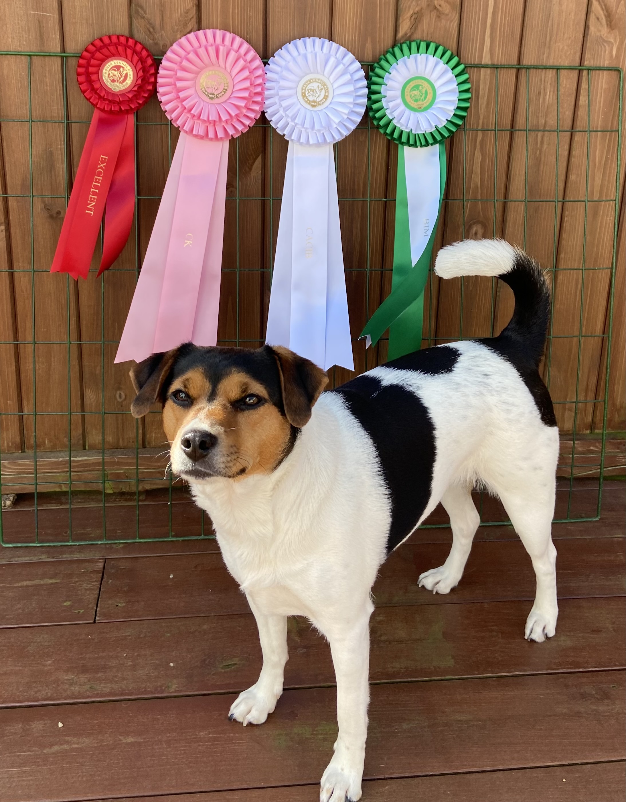 Lunnerbos Ariel Lunnerbos Ariel