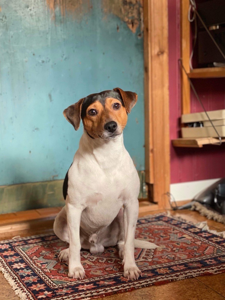 Sollenon's 007 goldfinger Sollenon's 007 goldfinger