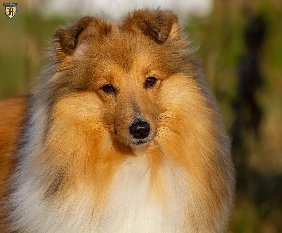 Margrete Dahl Margrete Dahl