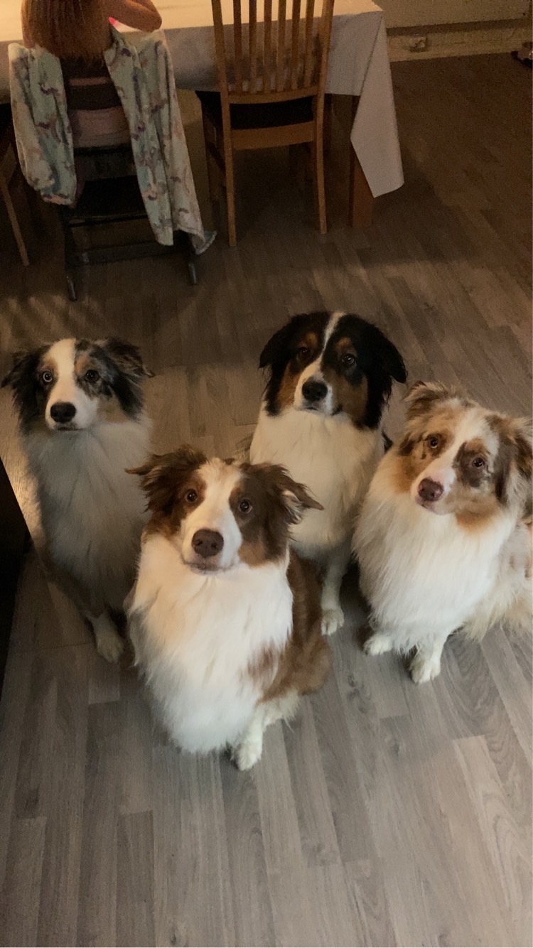 MyrvangDisney’s MyrvangDisney’s