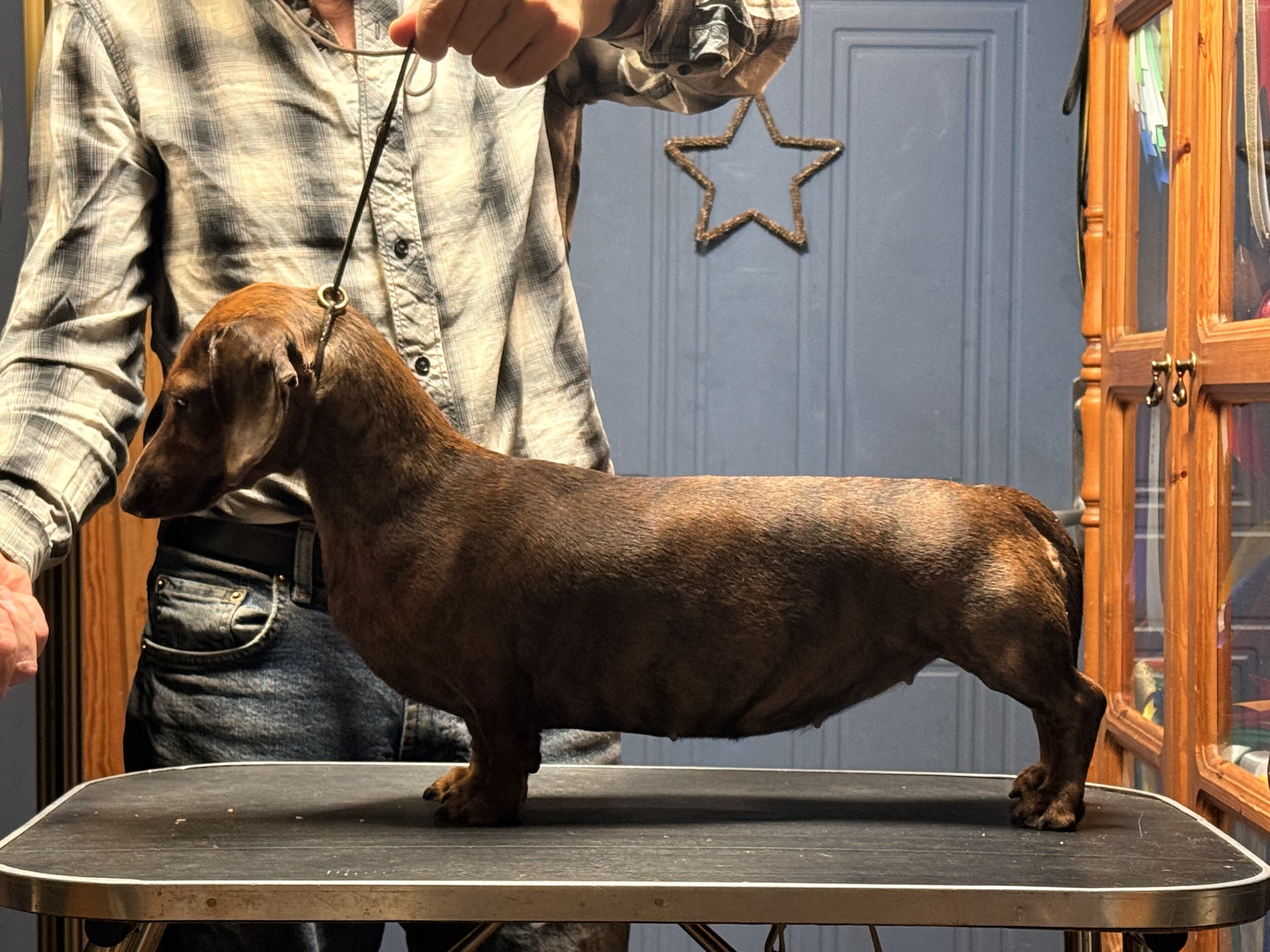 Minstemann’s Cuban Salsa Minstemann’s Cuban Salsa