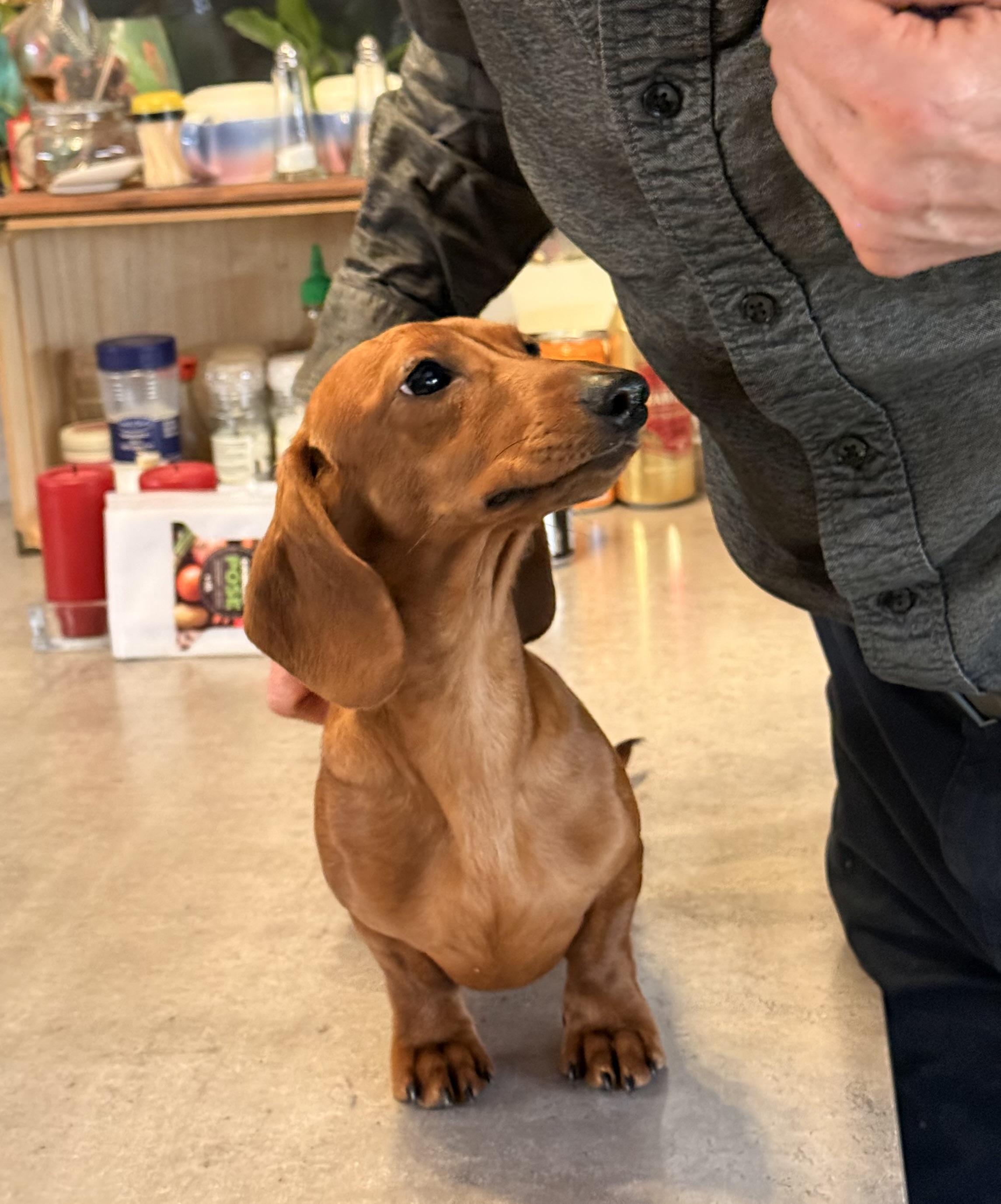 Anita og Åge Solberg Anita og Åge Solberg