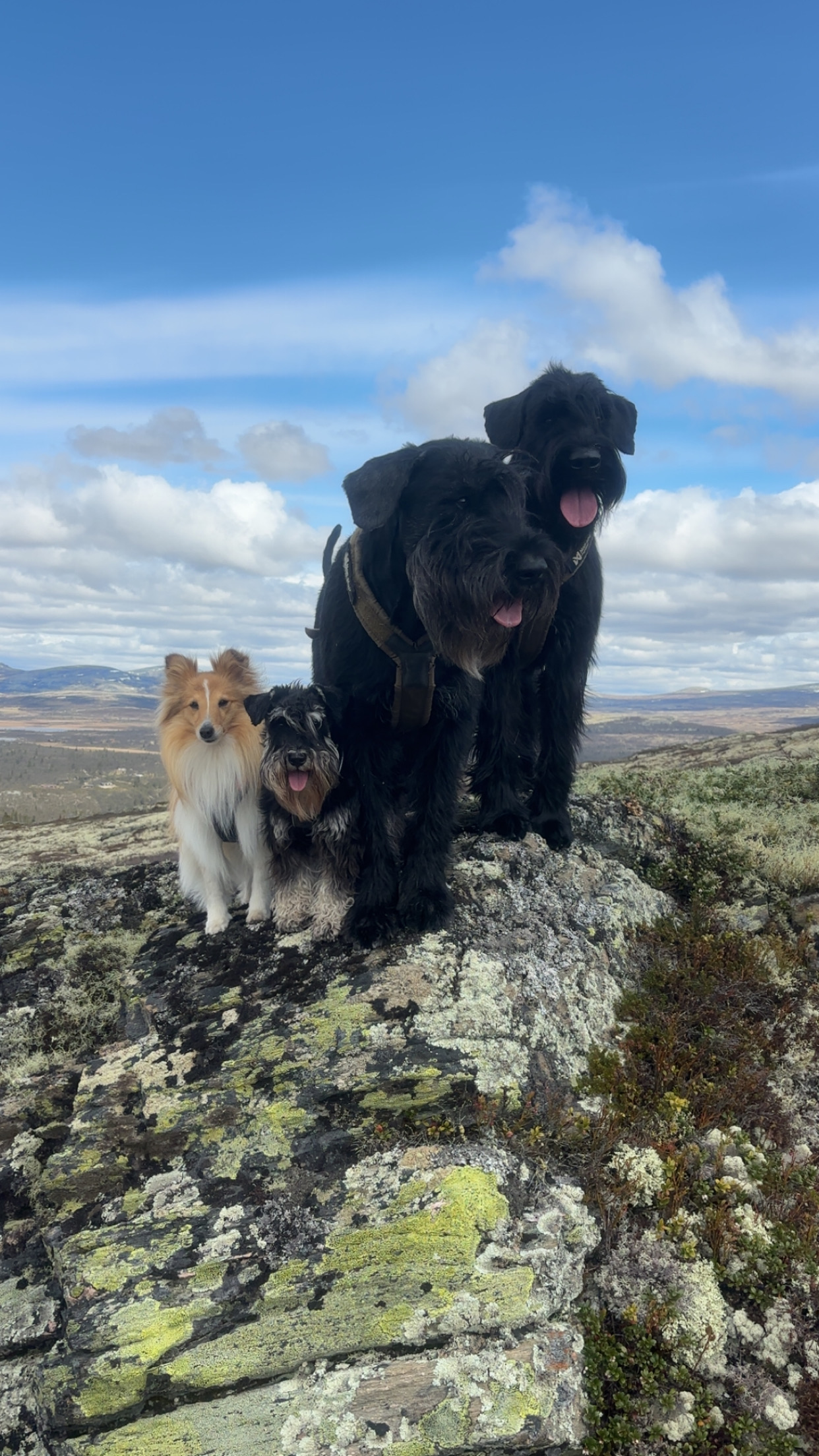 Finest call Finest call