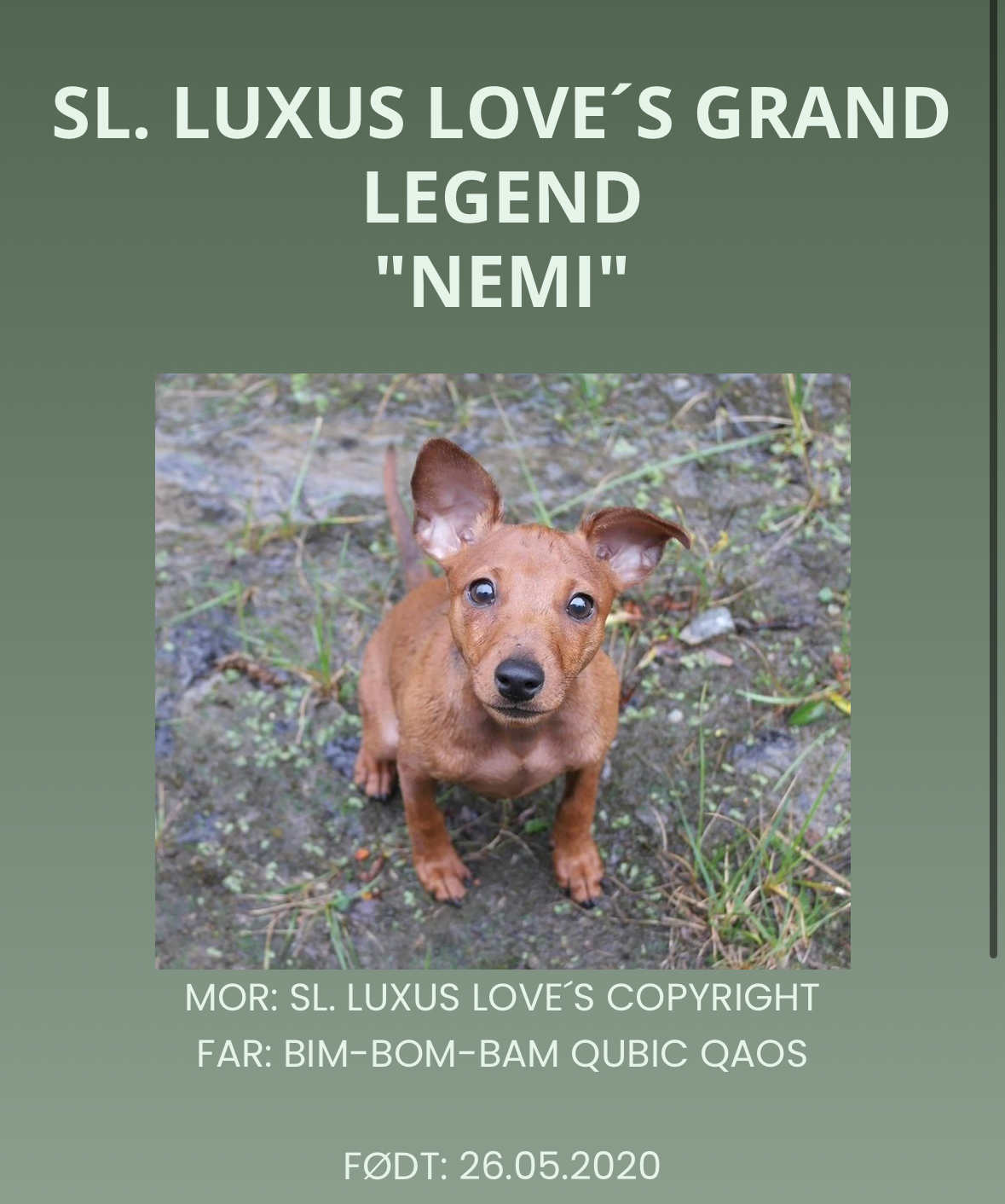 SL. Luxus Love’s Grand Legend SL. Luxus Love’s Grand Legend