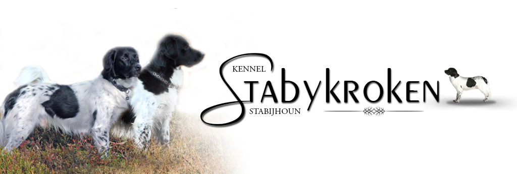 Kennel Stabykroken