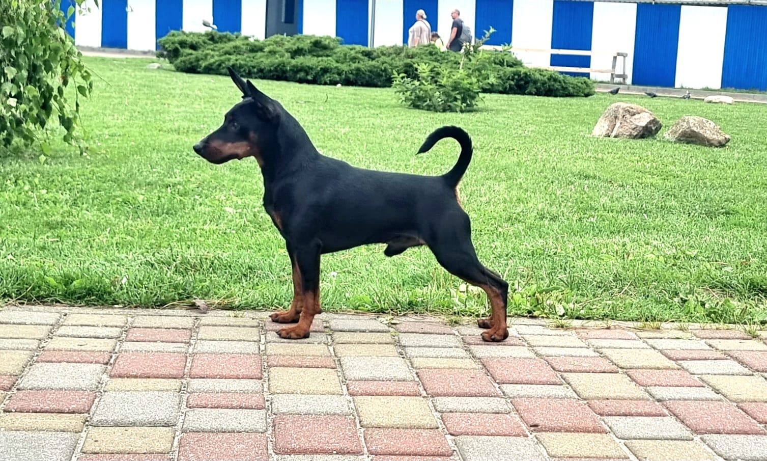 Jewelry janis La Vita Bella Jewelry janis La Vita Bella