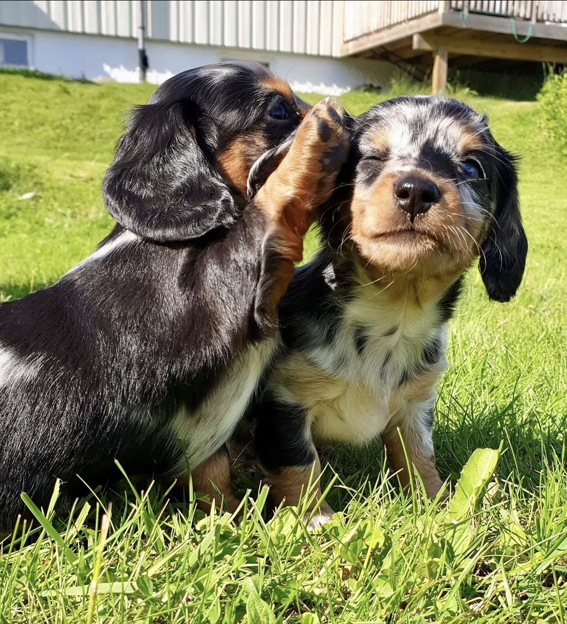 Eirin Bøkset Eirin Bøkset