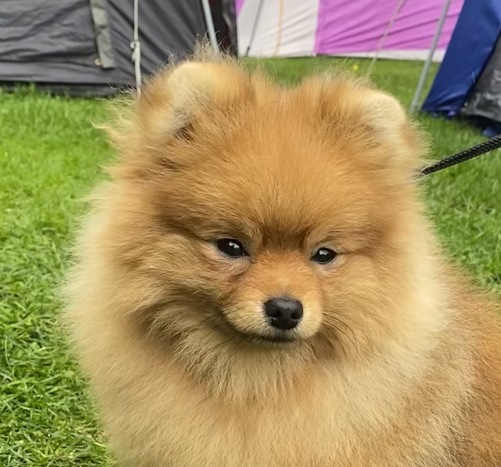 Nuffilands Up & Up Nuffilands Up & Up