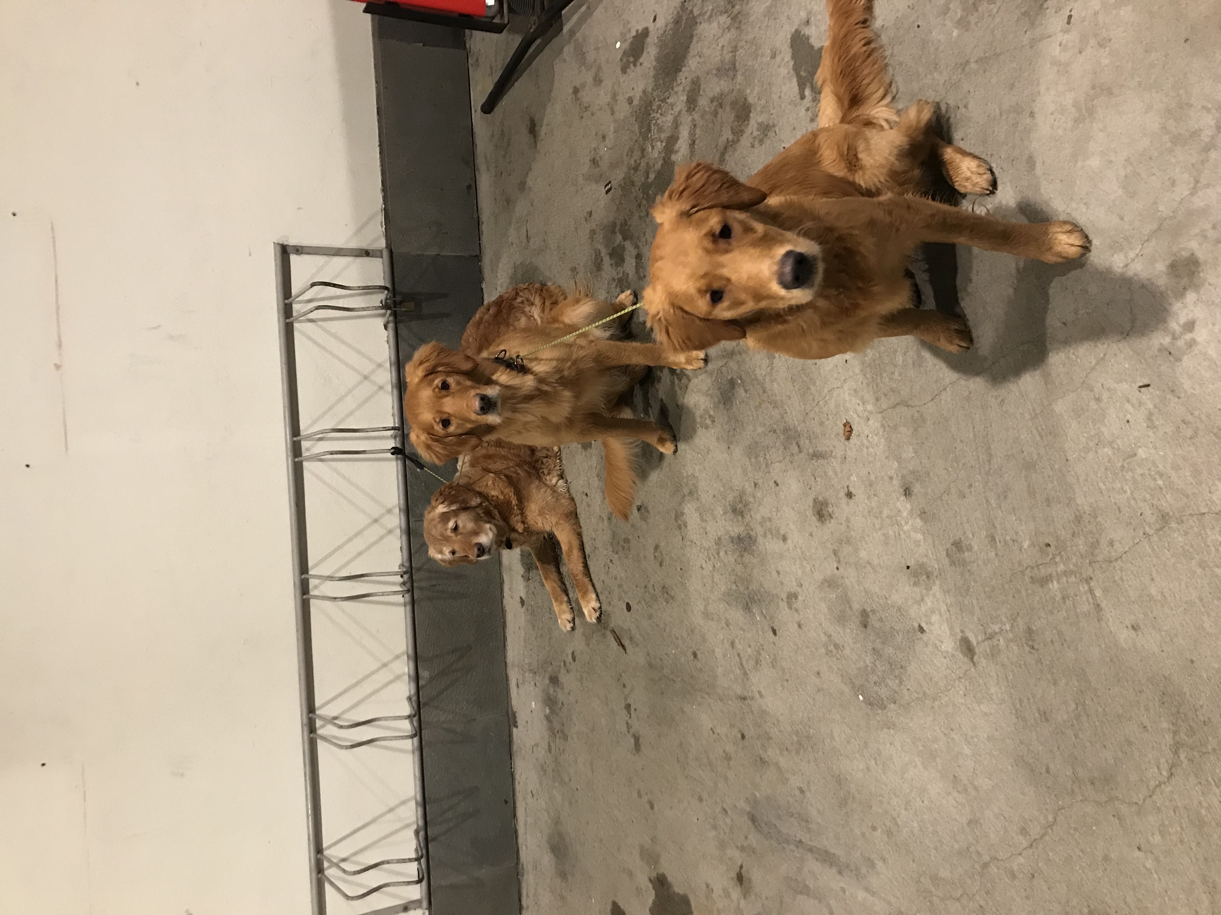 Fløyen 7Fjell Fløyen 7Fjell