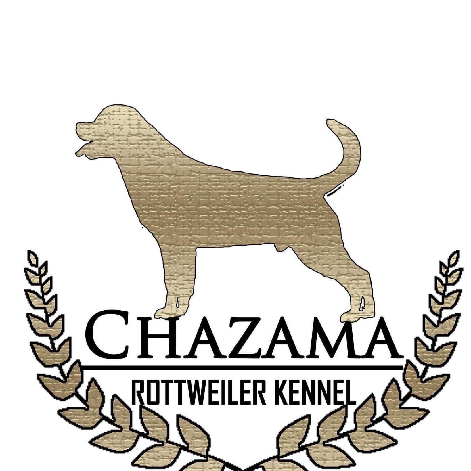 Chazama Kennel Chazama Kennel