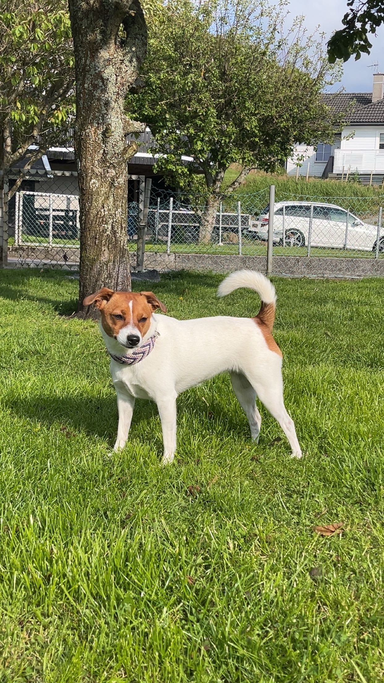 Lunnerbos Ellie Lunnerbos Ellie