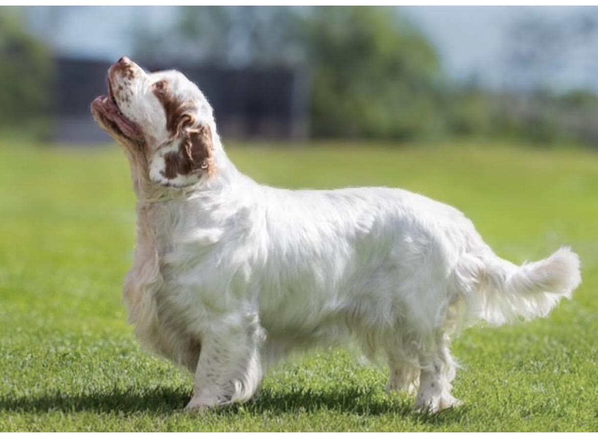 Fragletunet møter Mummidalen Fragletunet møter Mummidalen
