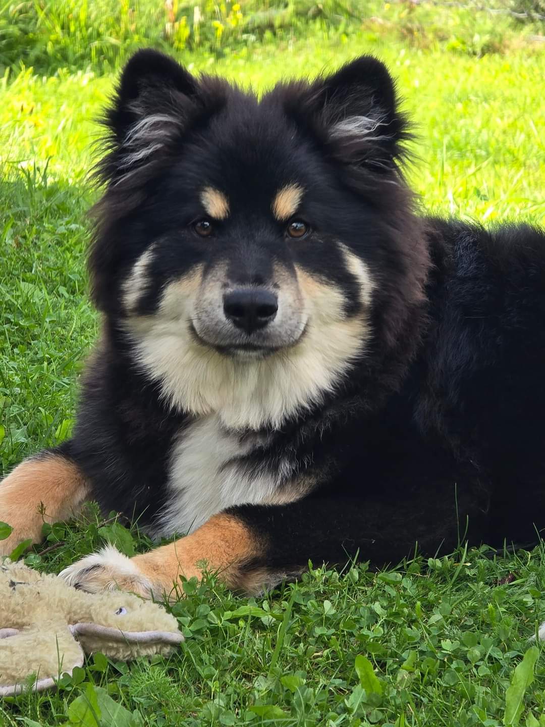 Solstjerna Valentina Solstjerna Valentina