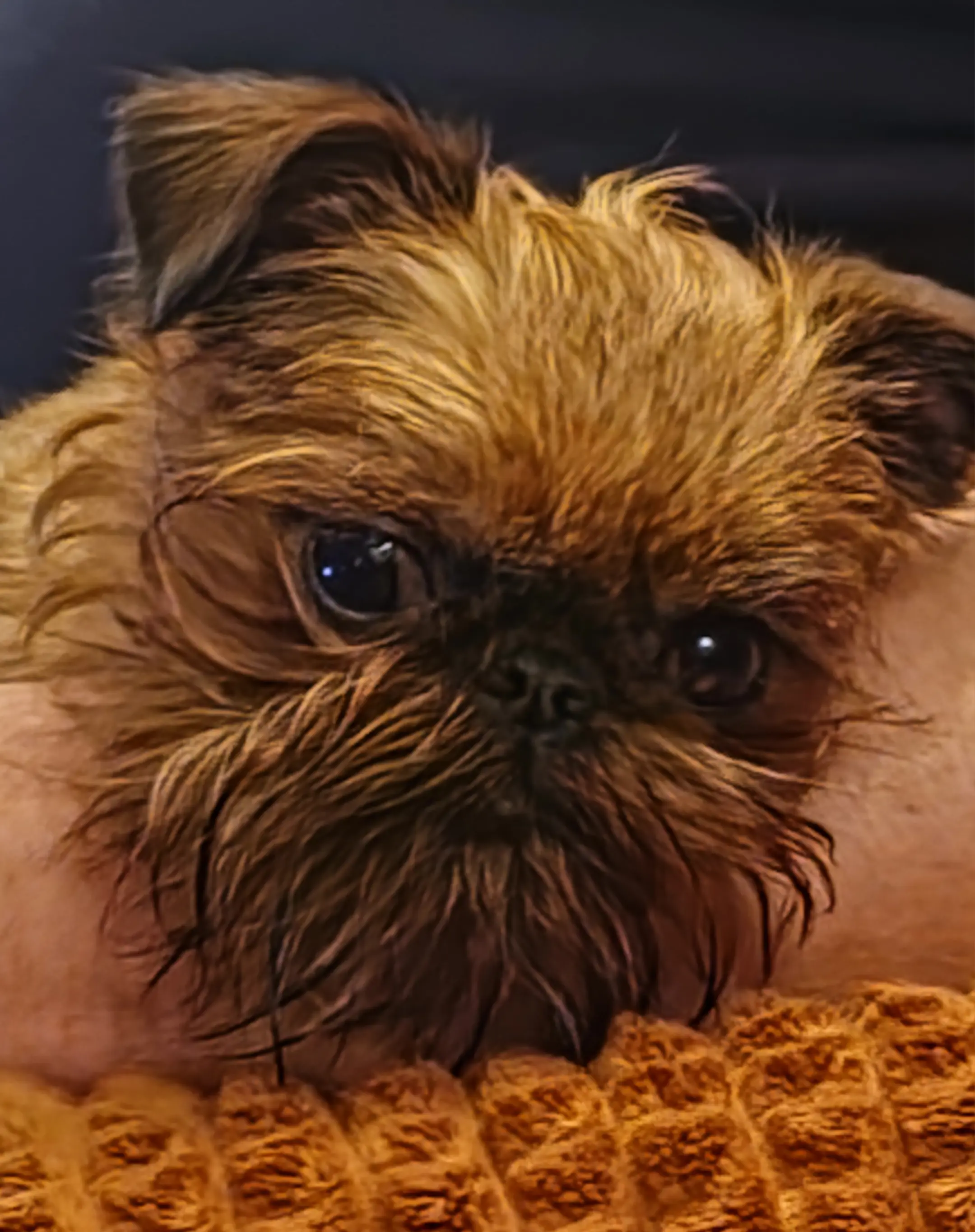 Janne Tykhelle Janne Tykhelle