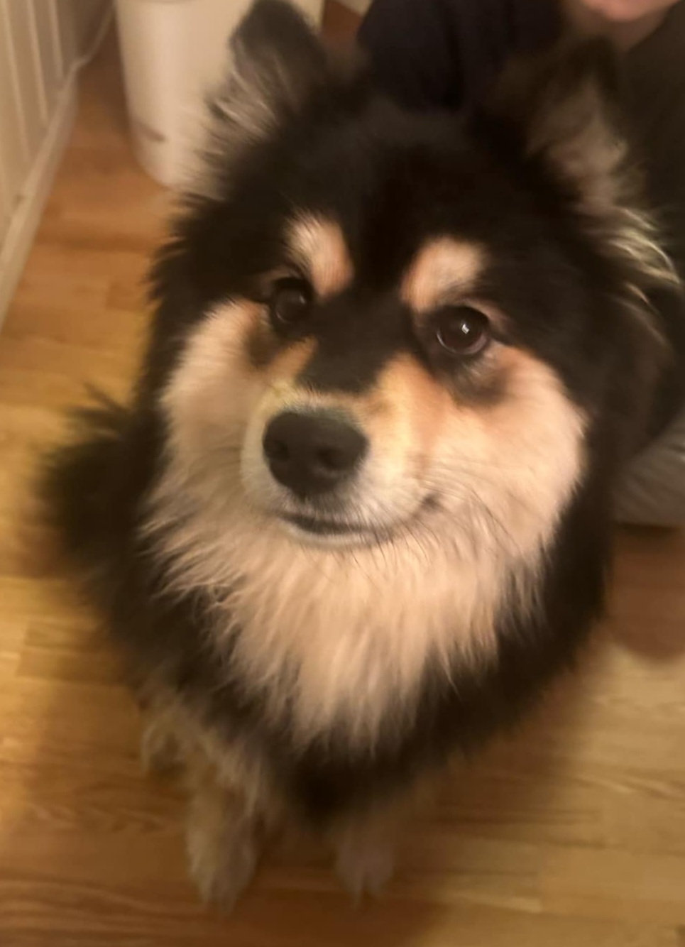 Spitz Family Ava Spitz Family Ava