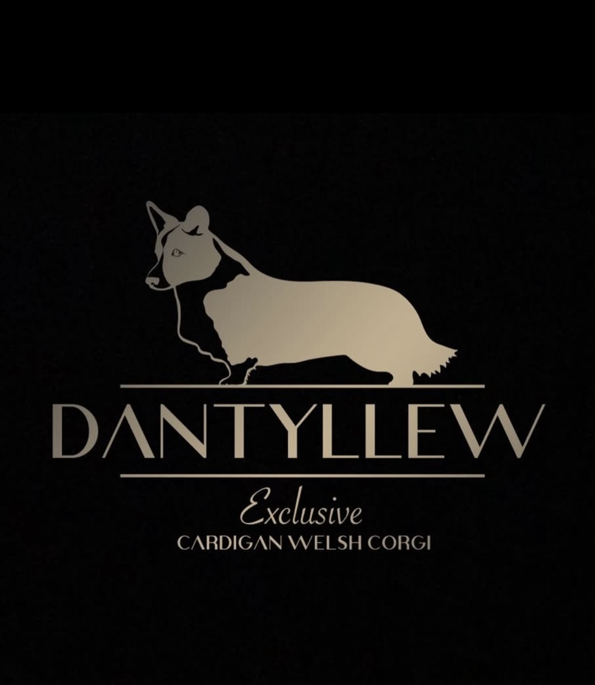 Siv Høystad Siv Høystad