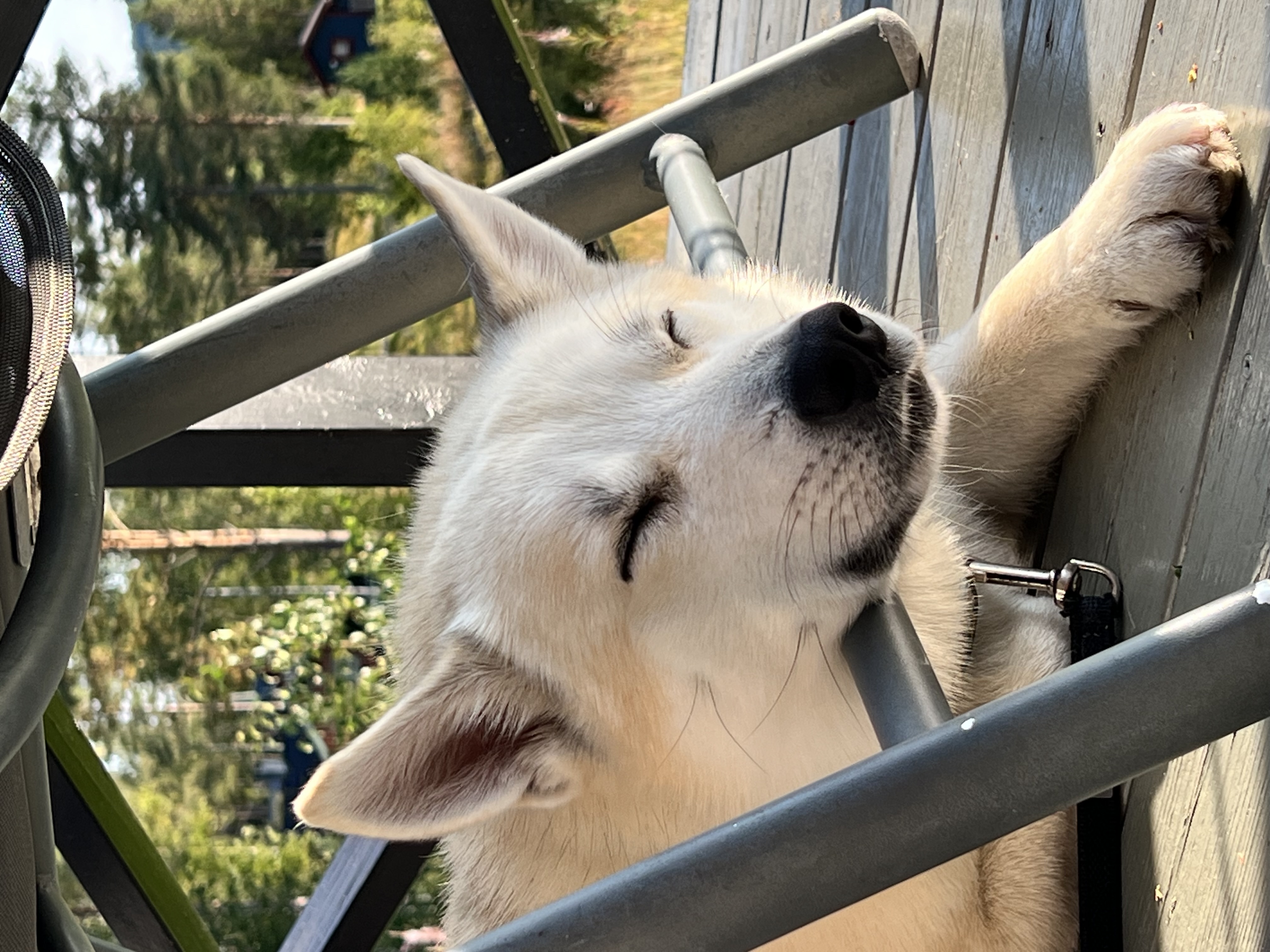 Ellen Katrin Enge Ellen Katrin Enge