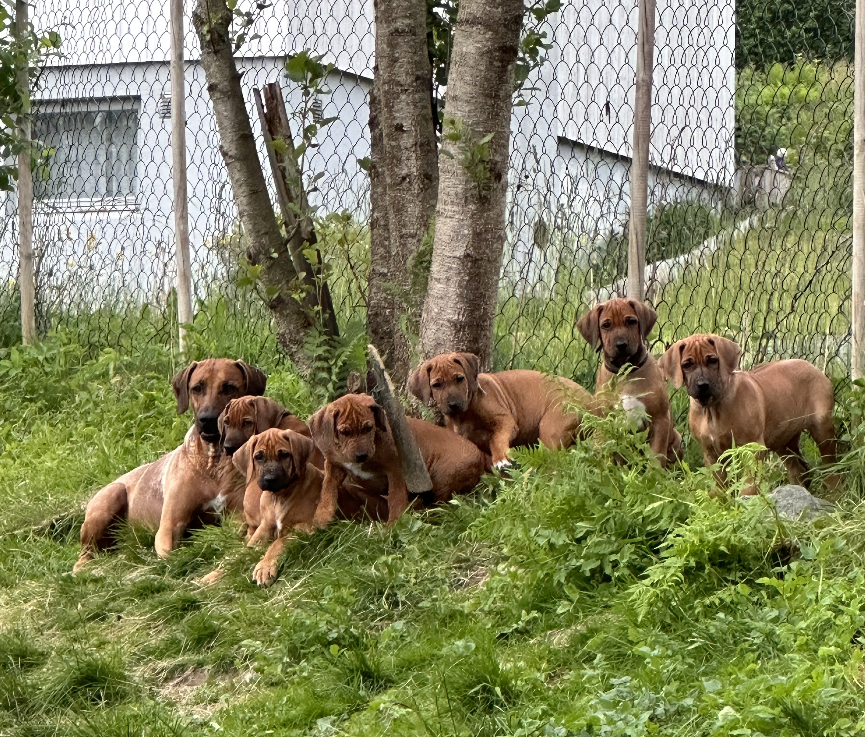 Jeanette Olsen Jeanette Olsen