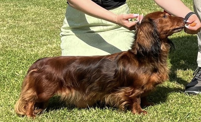 Birthe av melkildhaugen Birthe av melkildhaugen