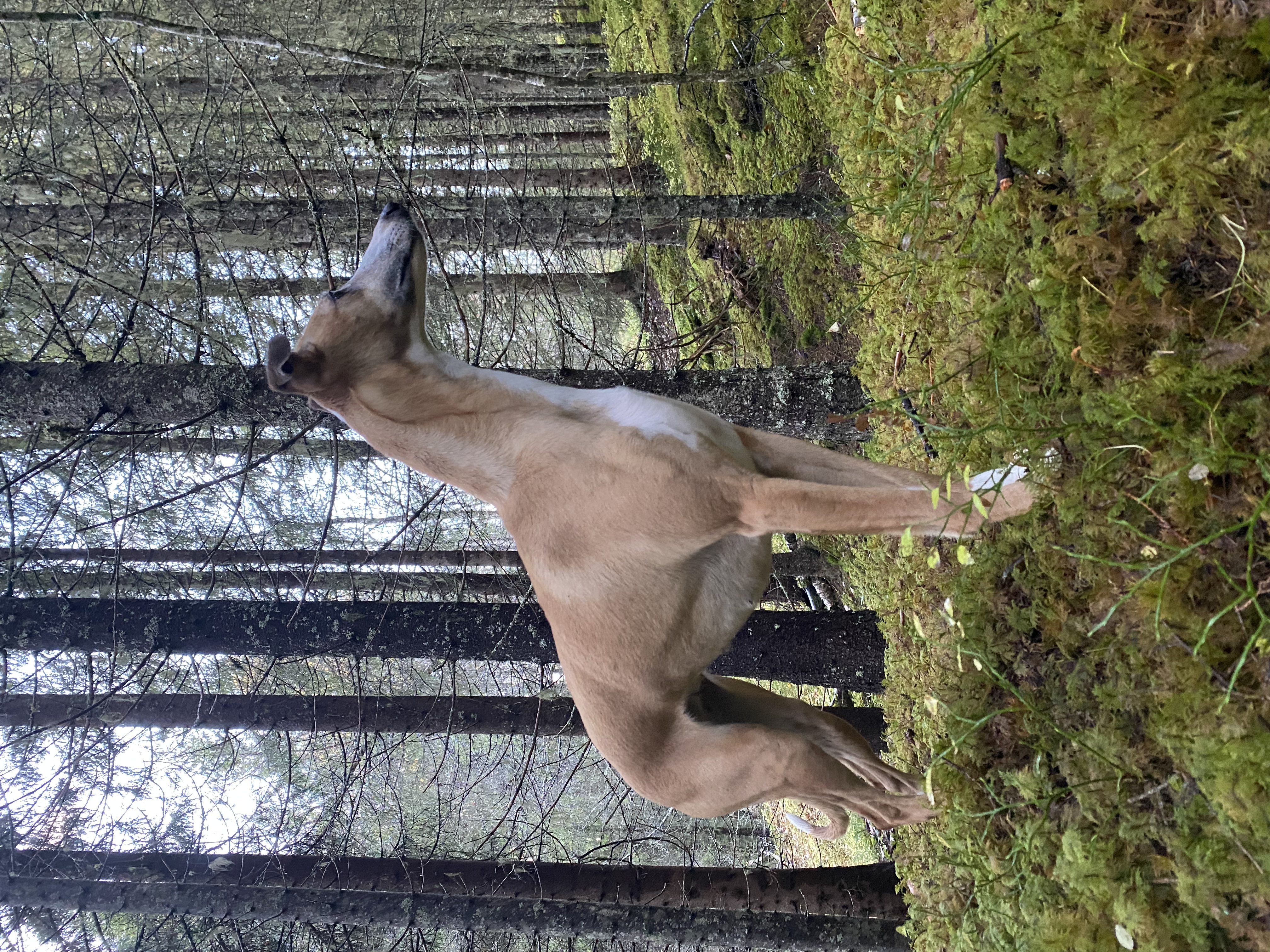 Mila Moja Brianna Mila Moja Brianna