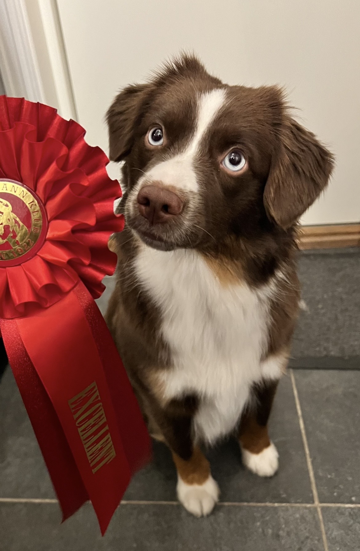 Ljuvliga Lyckan Över Morgonkaffet
