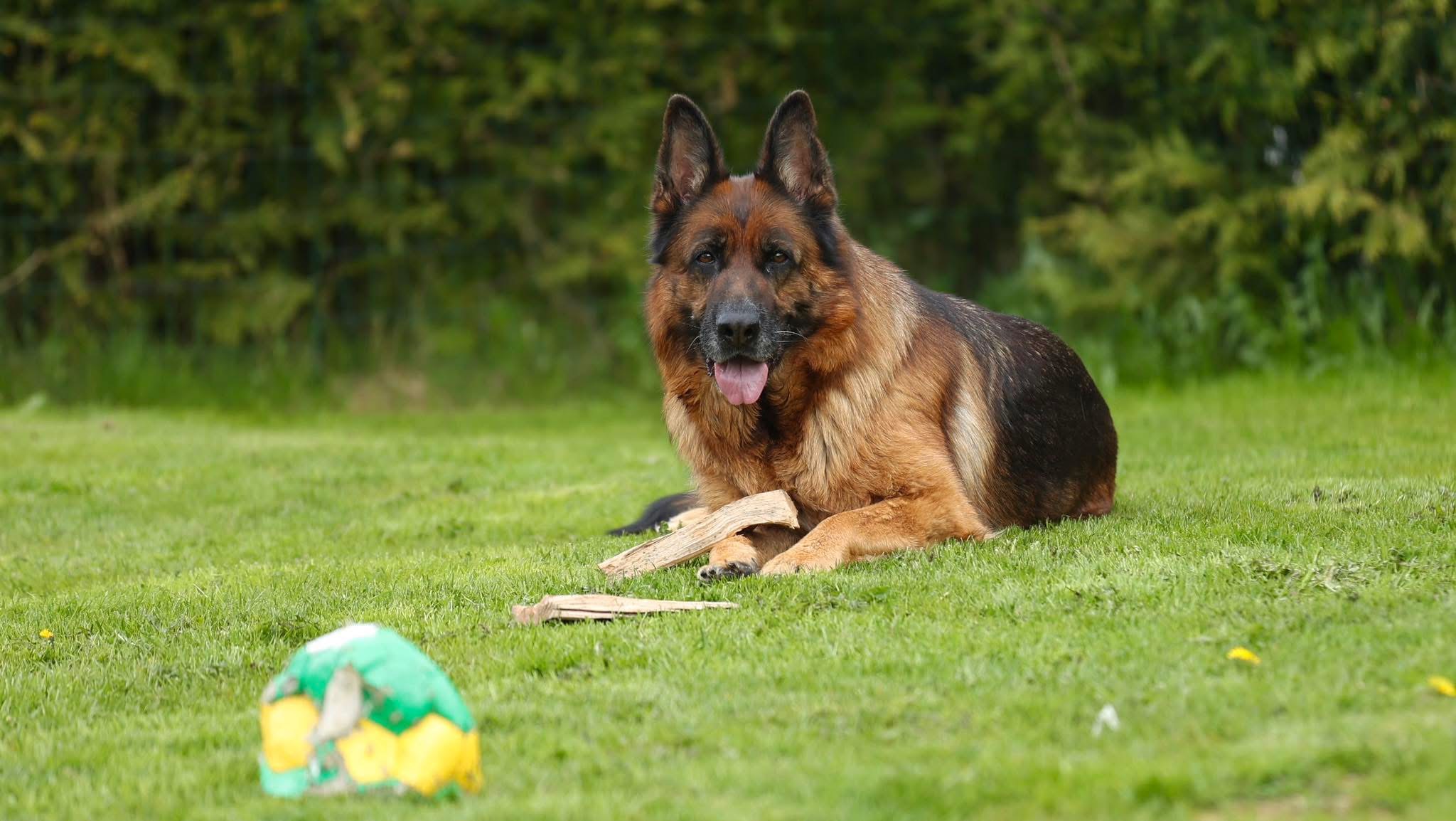 A(3)-kullet A(3)-kullet