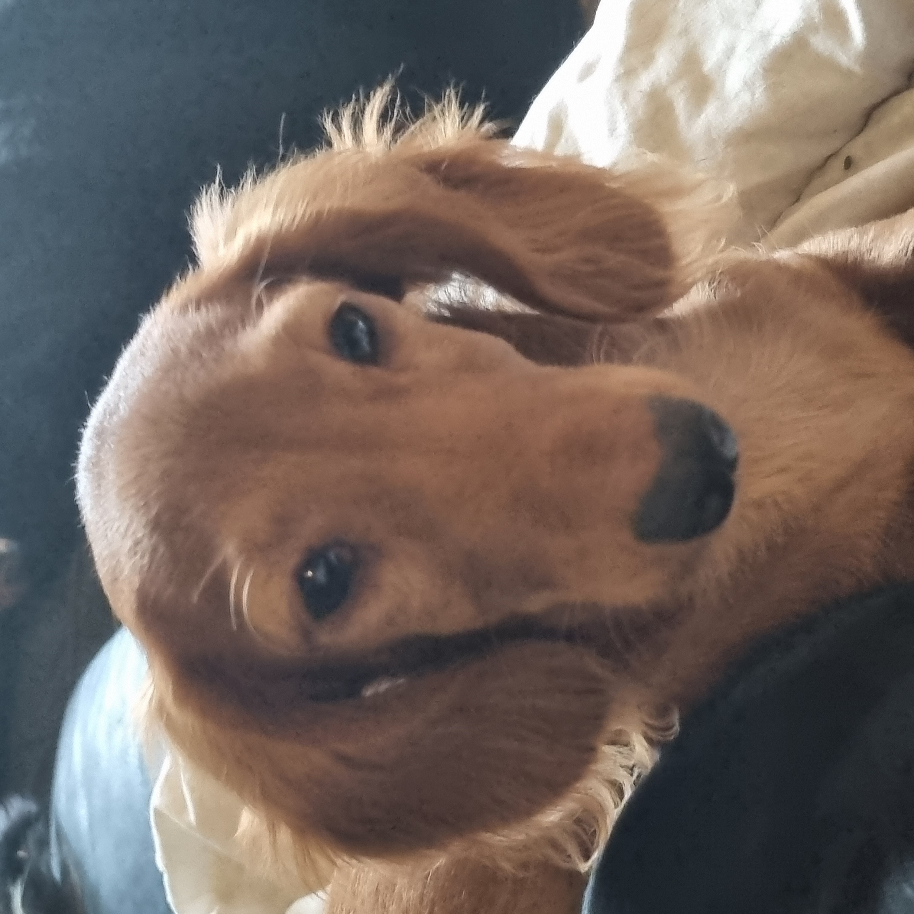 Julianne Olsen Julianne Olsen