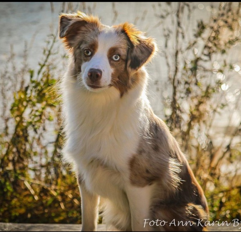 Fianas Tribes Cava Number One 