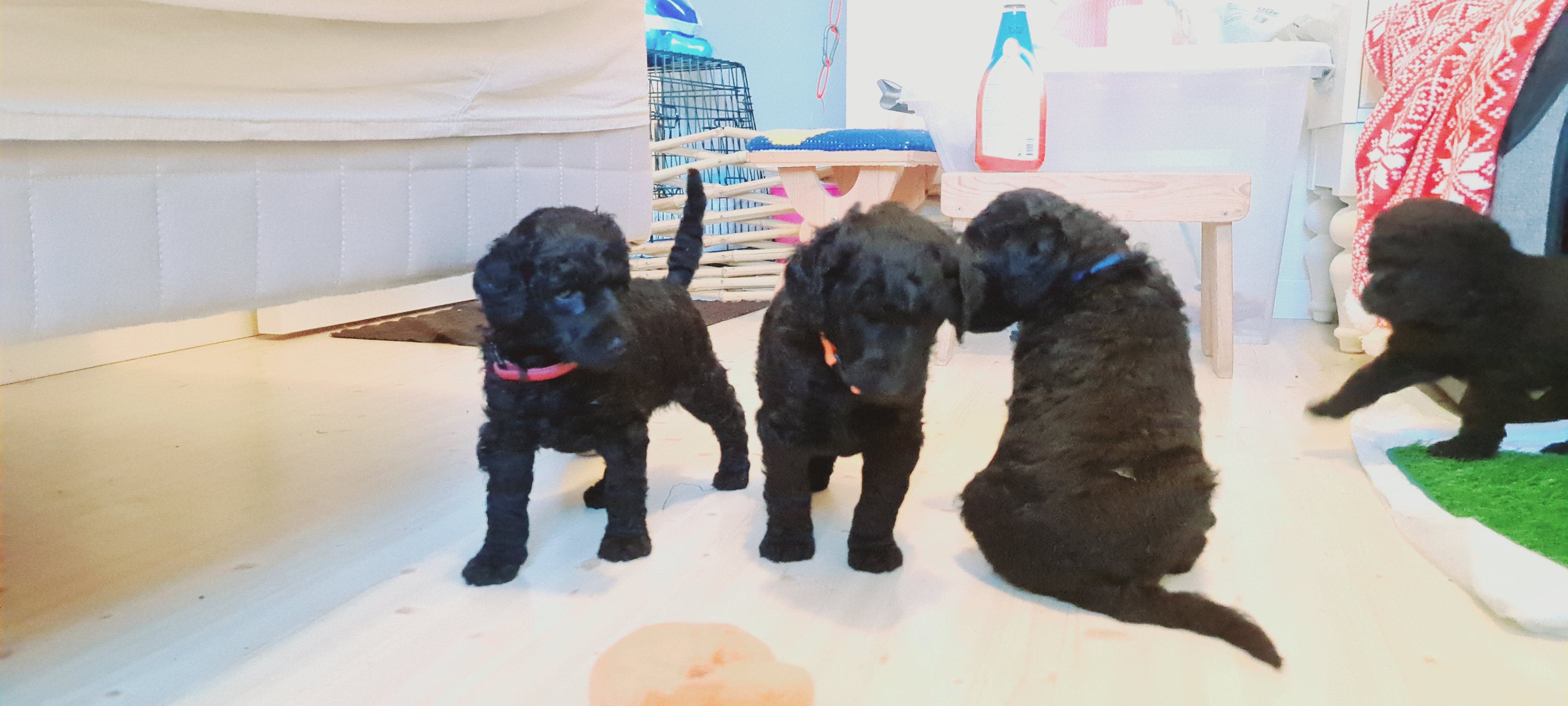 Stoff-kullet Stoff-kullet