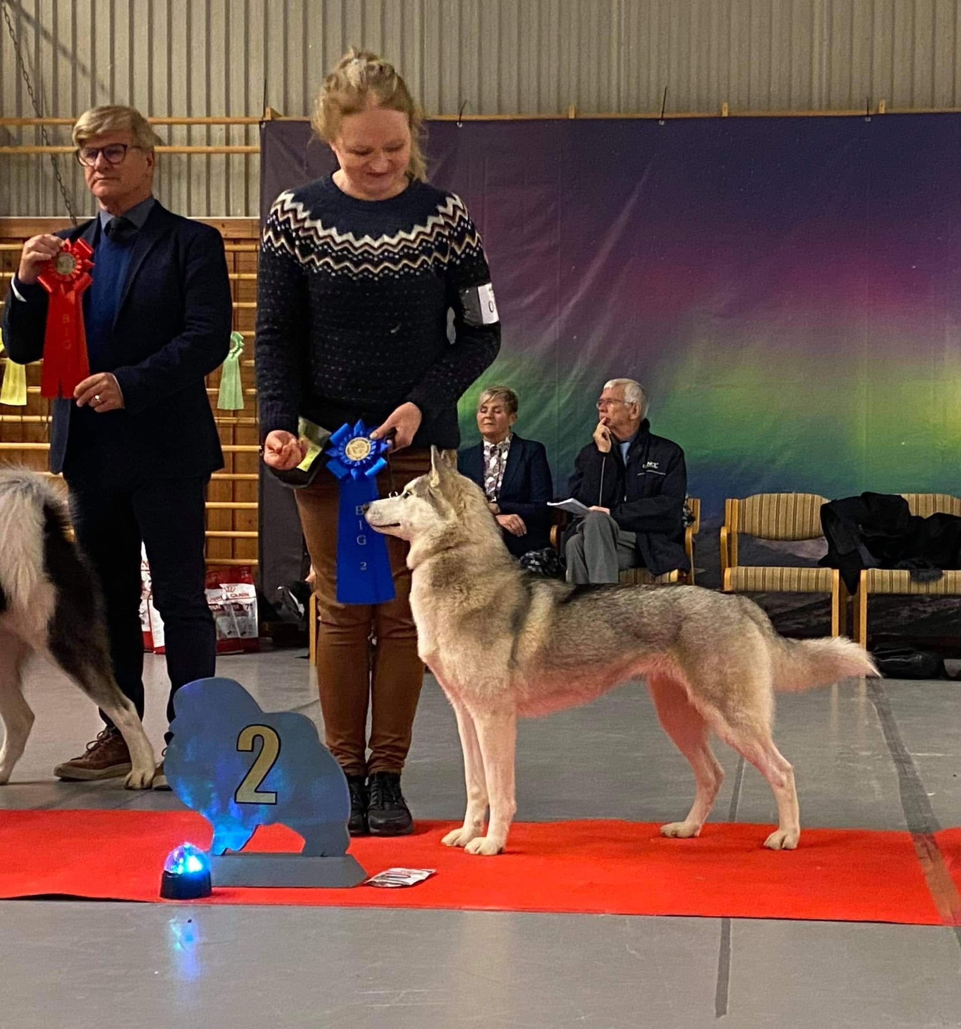 Arctic Pearl’s Katla Arctic Pearl’s Katla