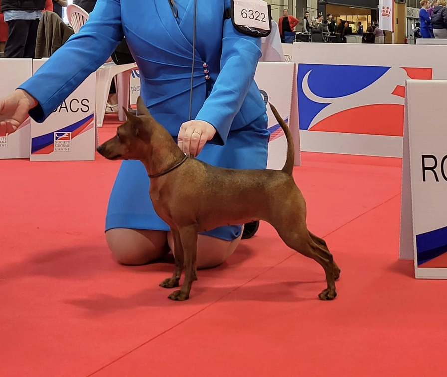 N DK SE LT CH NJW-21 CPHJW-21 CPHW-21 LATINW-22 FRW-22 DKW-22 BISS Acrobatix IN2U N DK SE LT CH NJW-21 CPHJW-21 CPHW-21 LATINW-22 FRW-22 DKW-22 BISS Acrobatix IN2U