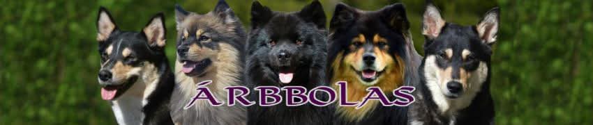 Àrbbola's 