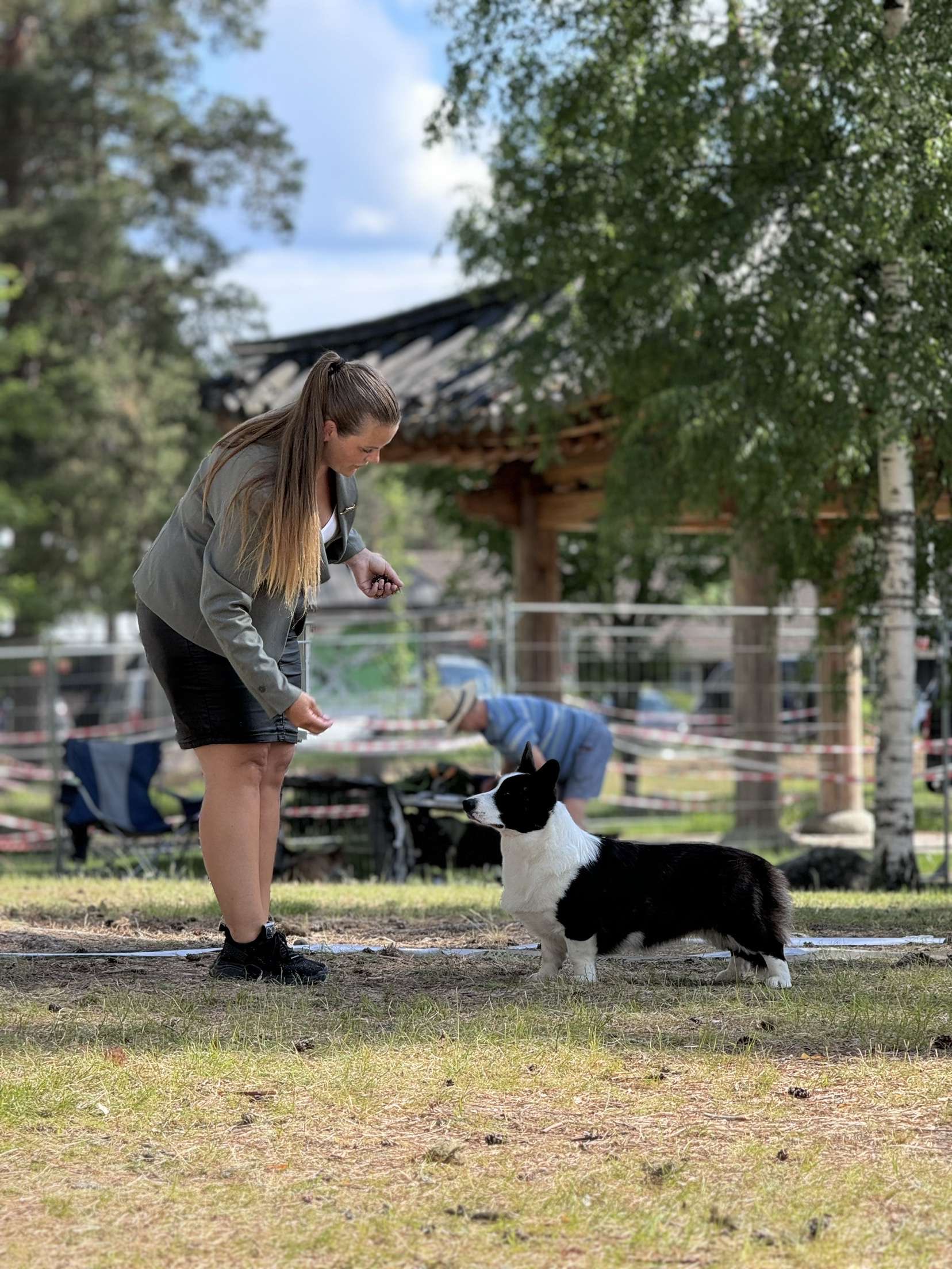 Waggerland Lovalicious Waggerland Lovalicious