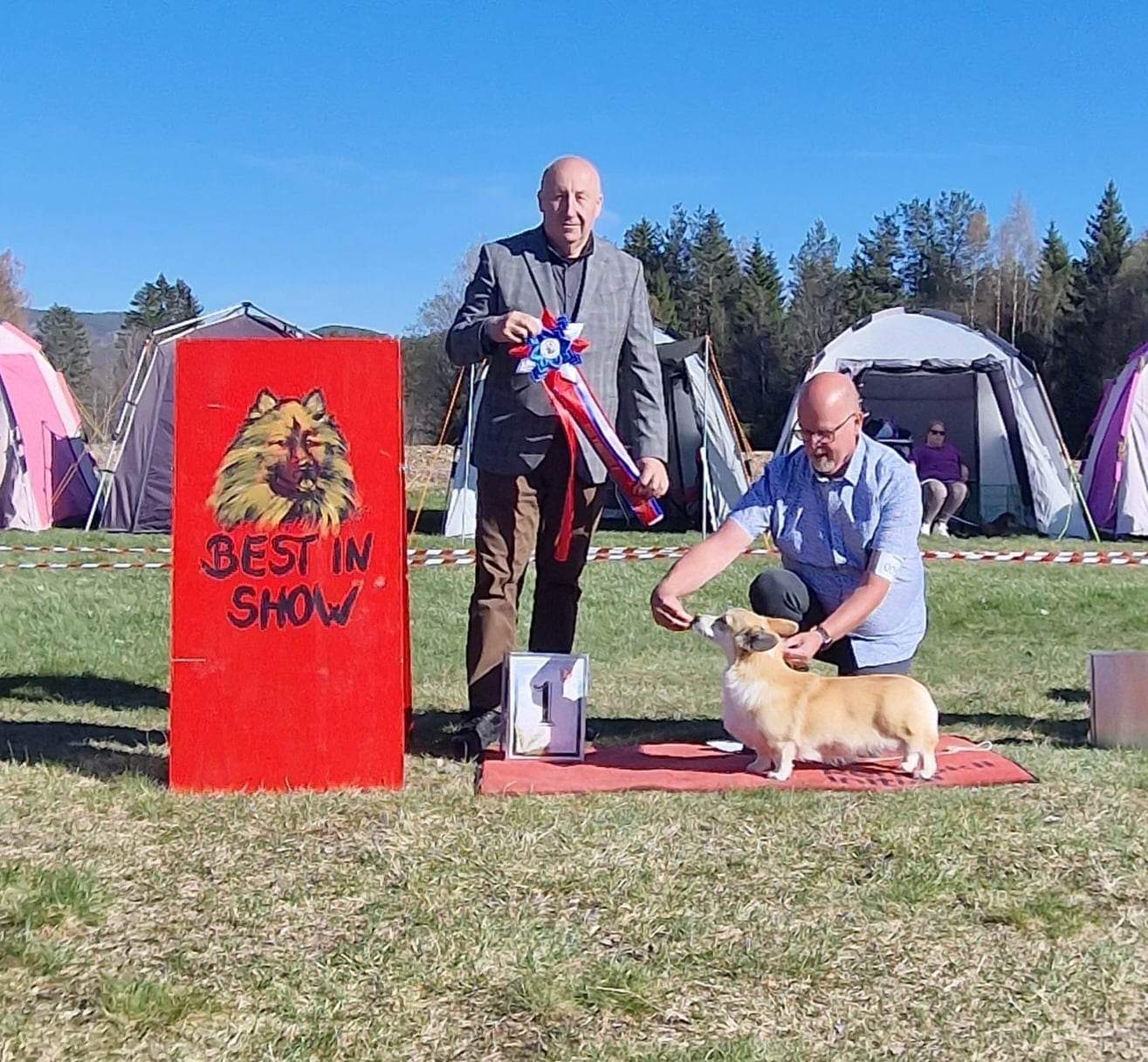 Kennel Iswita Kennel Iswita