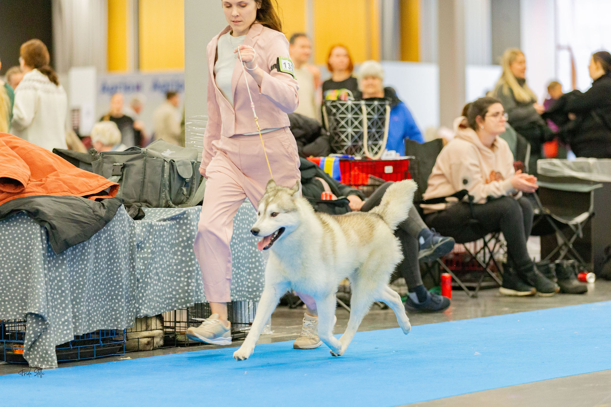 Fjelltroll Valentino Roma 