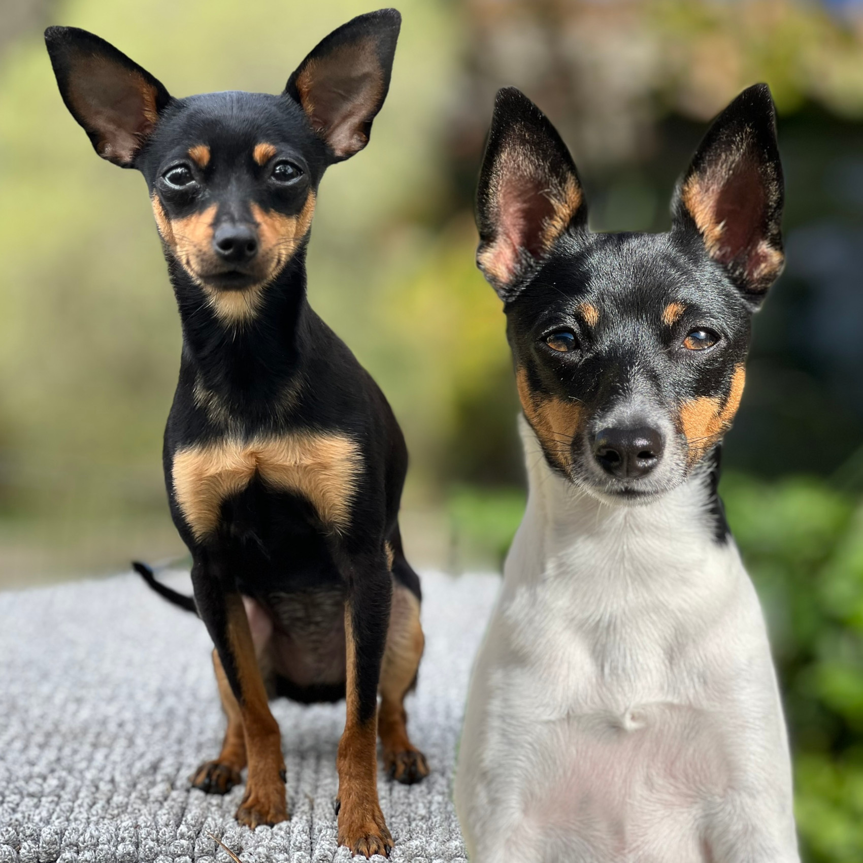 Kristiane Serianna Erlandsen