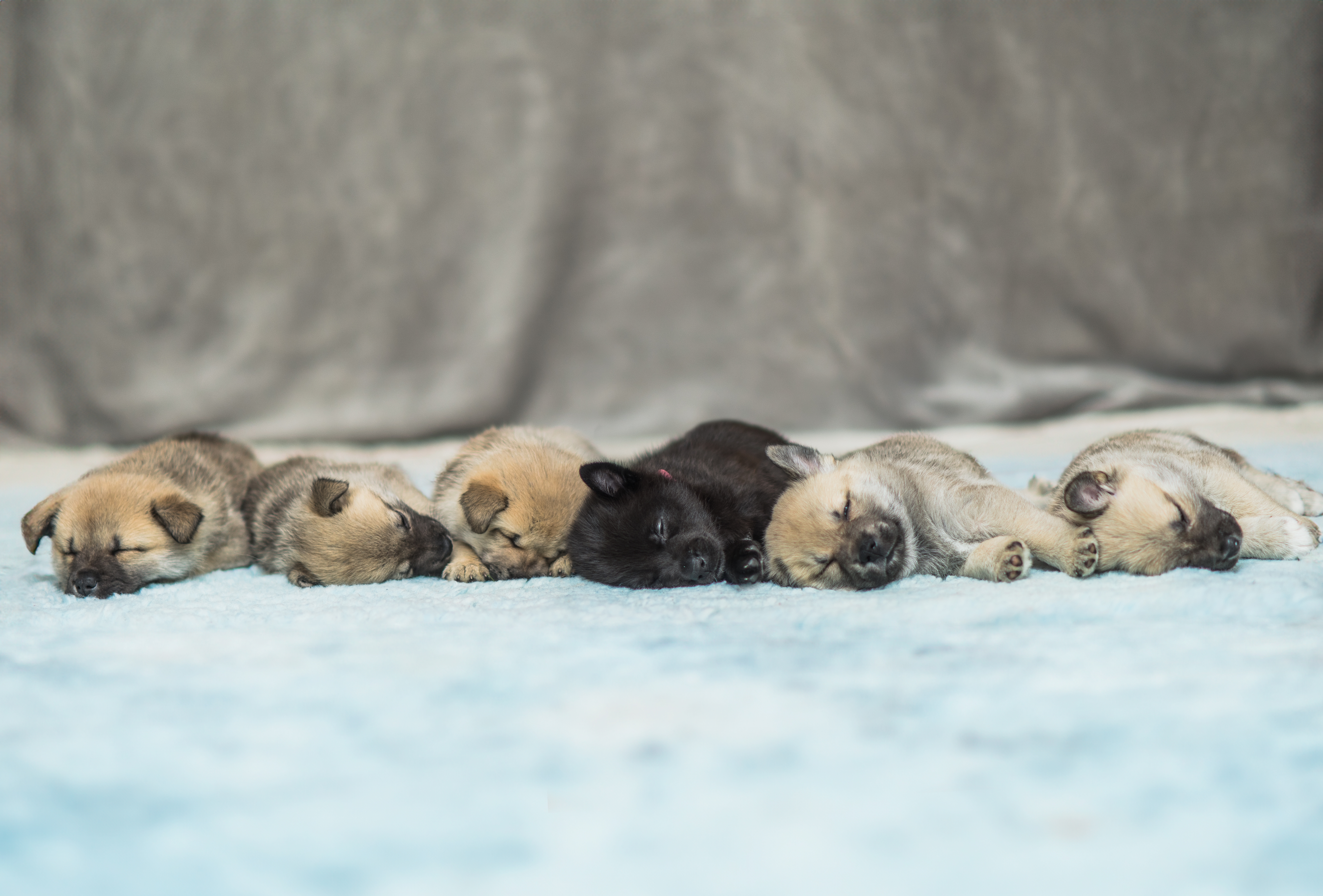 Granskauen Granskauen