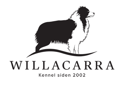 Willacarra Willacarra