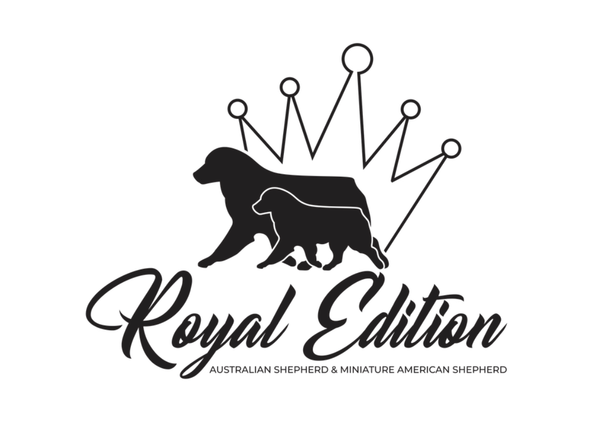 Royal Edition Royal Edition