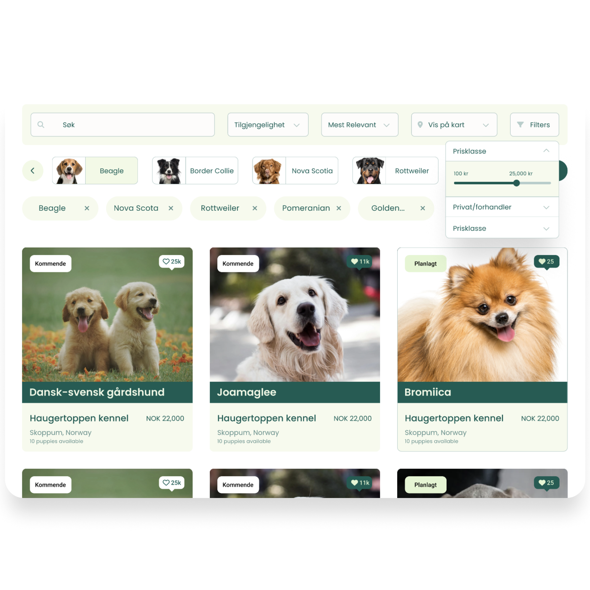 Finn din nye bestevenn blant våre valper