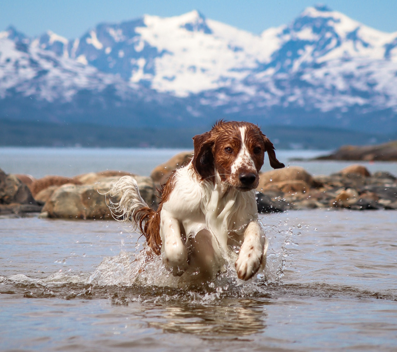Vår visjon er enkel