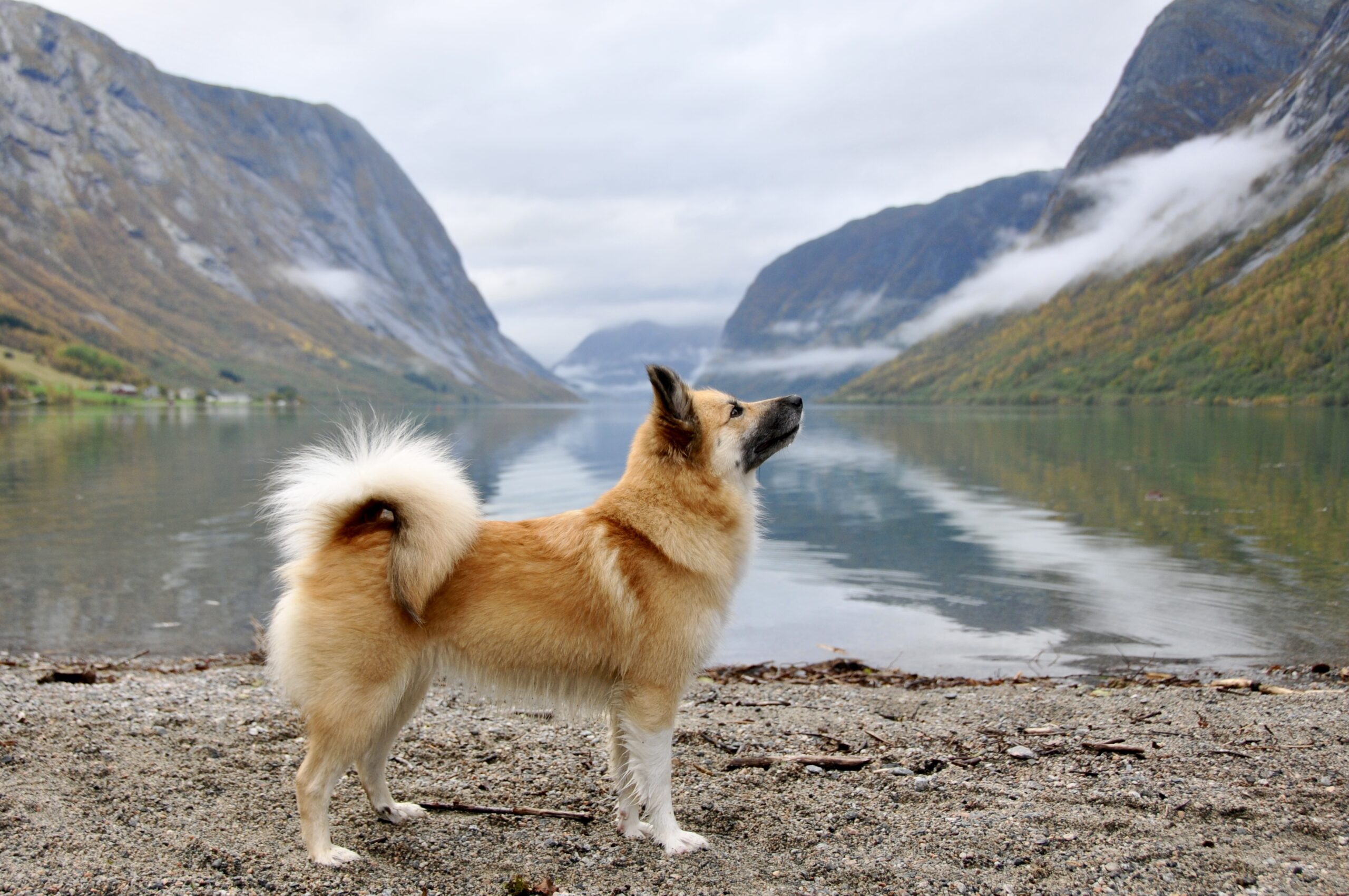 Dirfa (Lita i det daglige) Dirfa (Lita i det daglige)