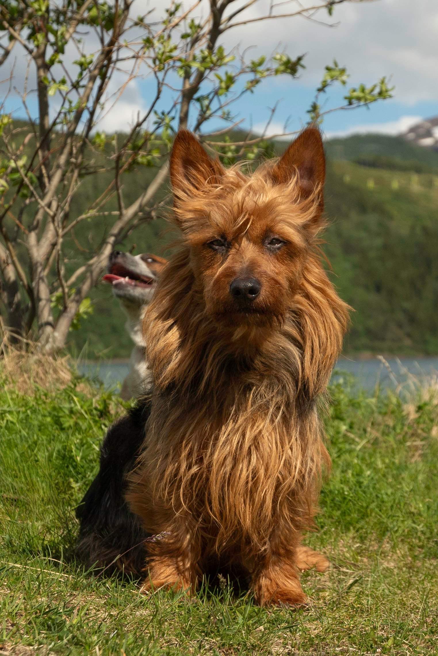 Linn Iris Jansen Linn Iris Jansen